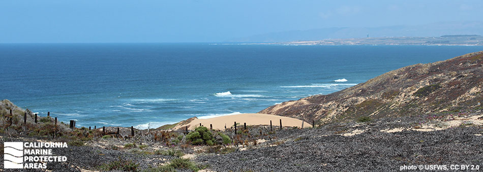 clear blue skies mixed with marine fog blend mountain ranges into the horizon, the shoreline is clearly sand and tan wrapping to one side making a half moon shape, in the foreground iceplant, a ground cover succulent, meets a wooden fence, with clear tan sand meeting the ocean on the other side